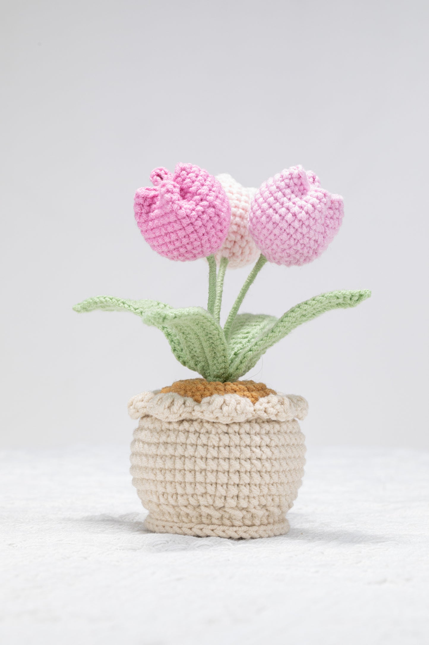 3 head pink tulip