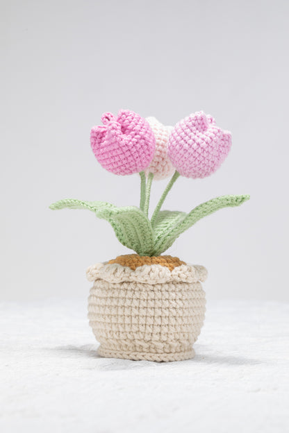 3 head pink tulip