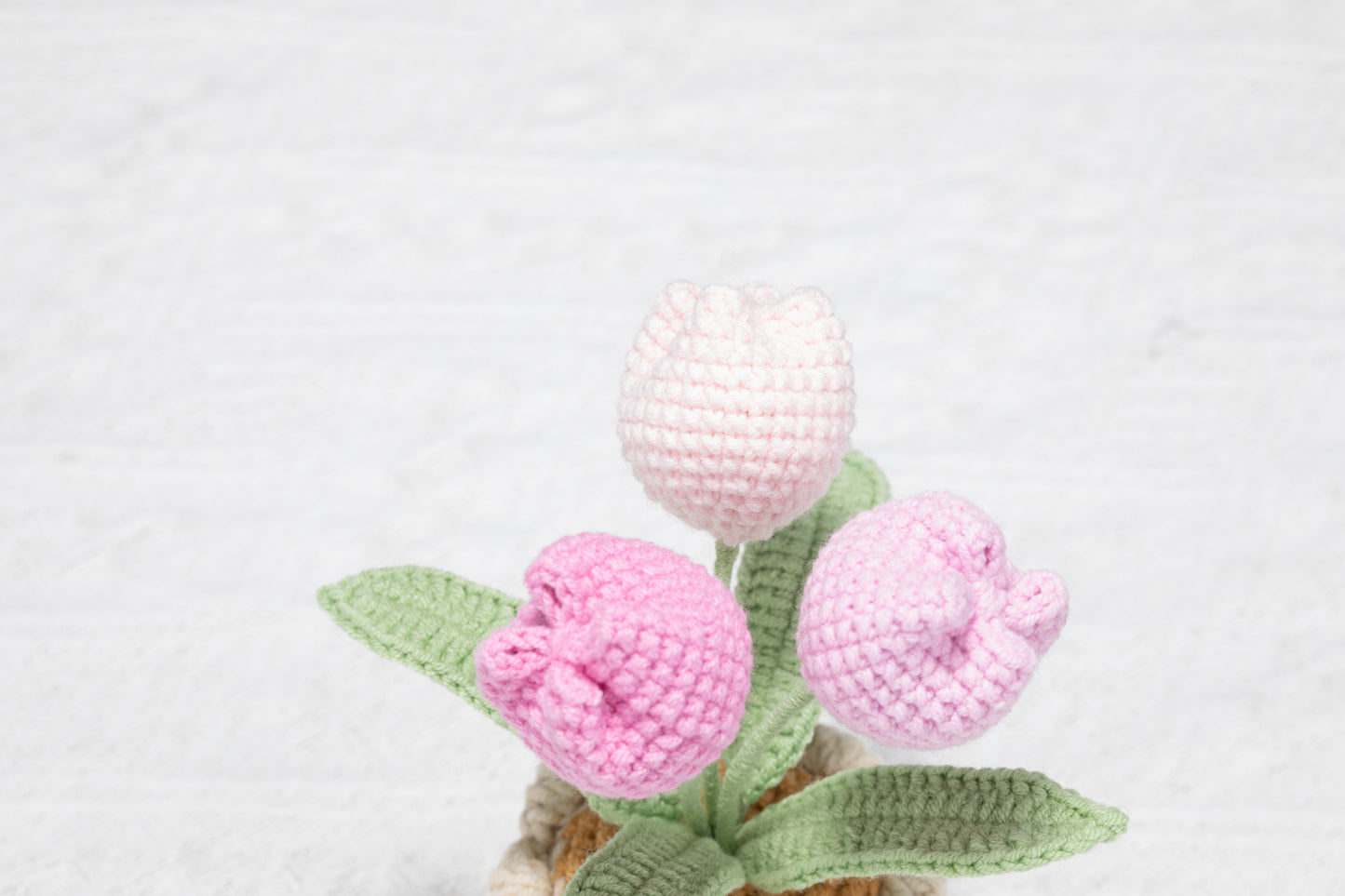 3 head pink tulip