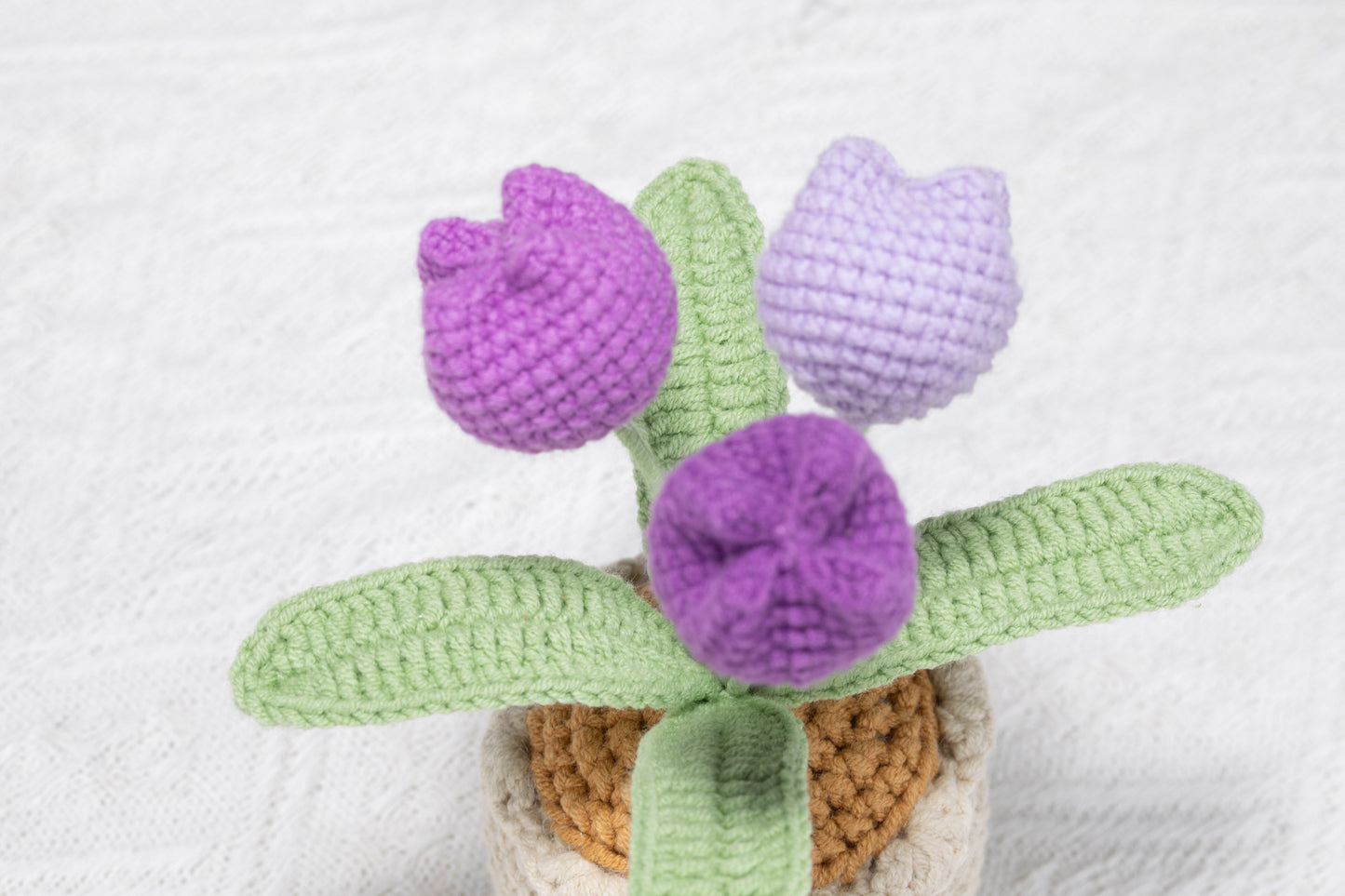 3 head purple tulip