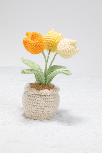 3 head yellow tulip