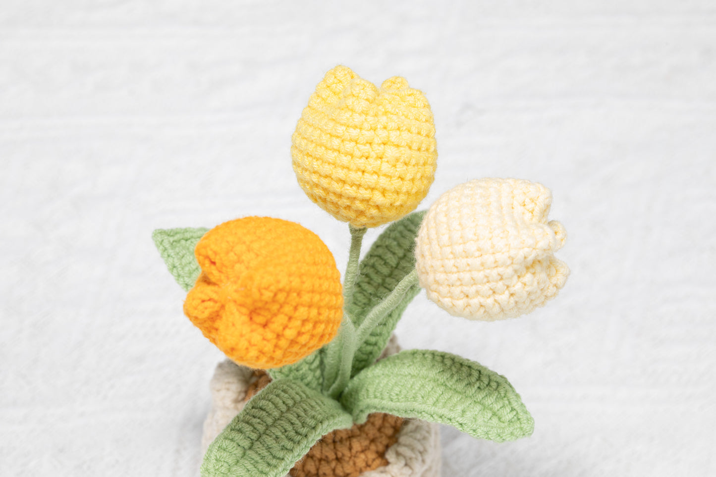 3 head yellow tulip
