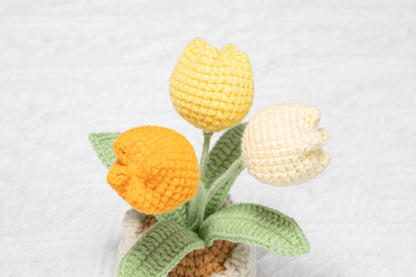 3 head yellow tulip