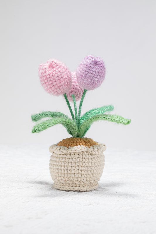 3 ombre purple tulip