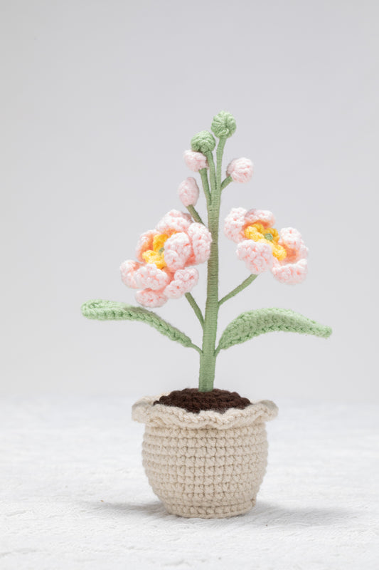 small Larkspur