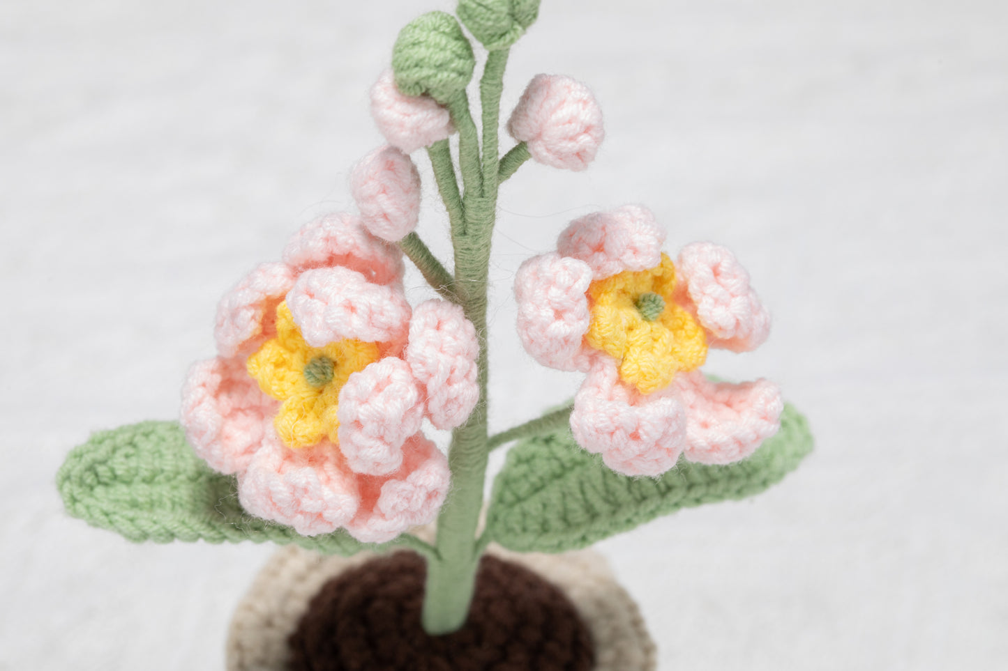 small Larkspur