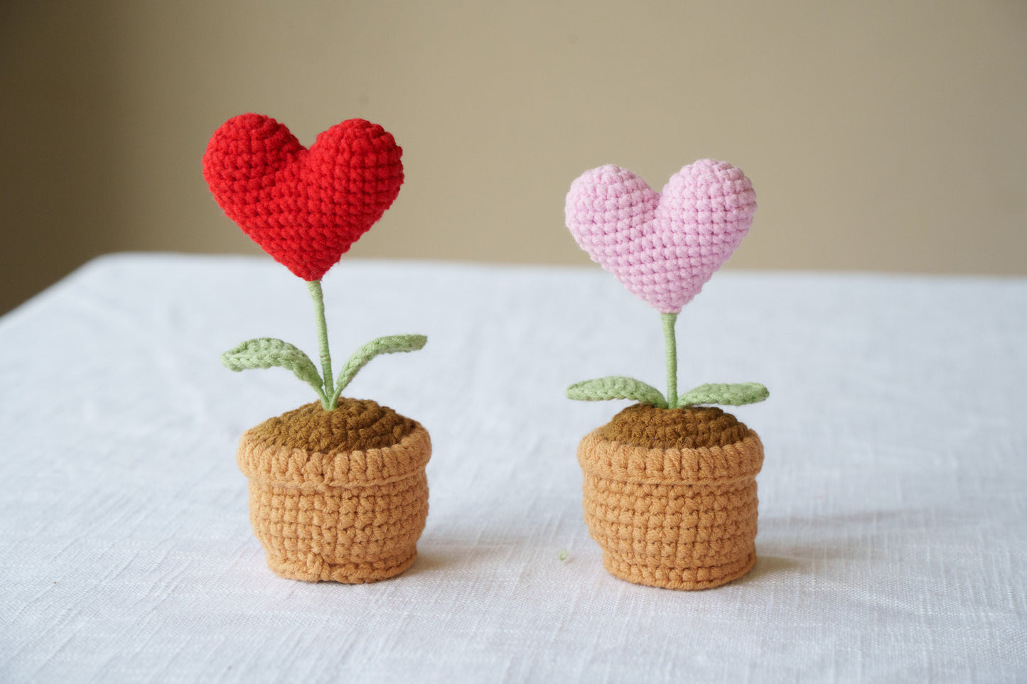 heart potted plant