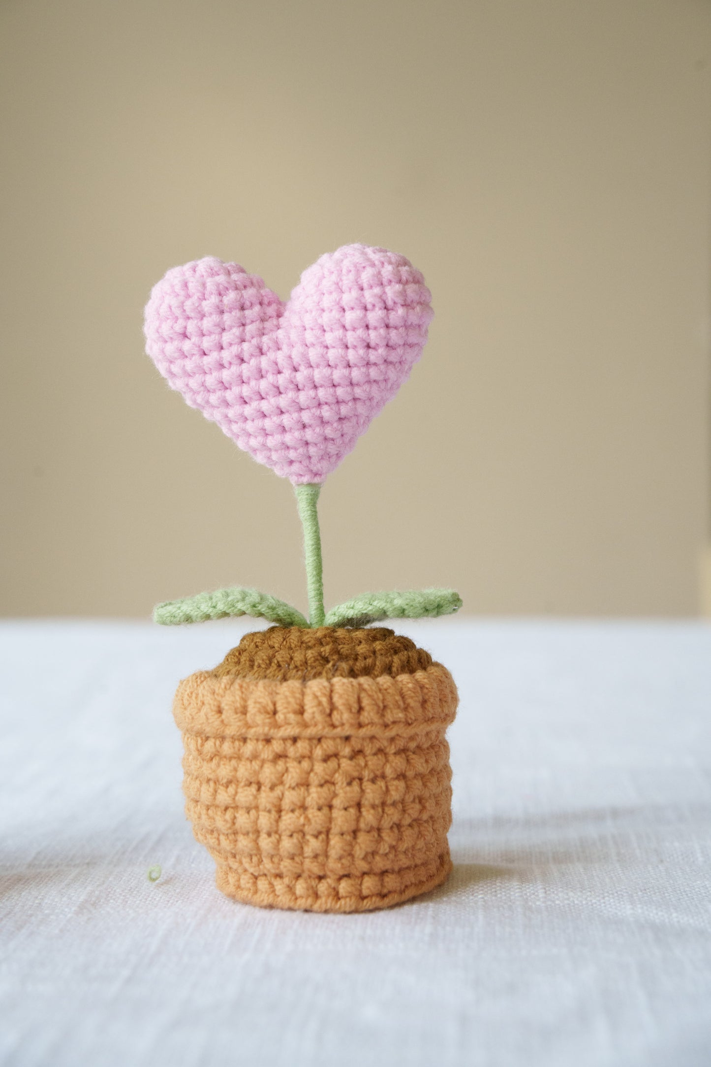 heart potted plant