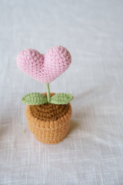 heart potted plant