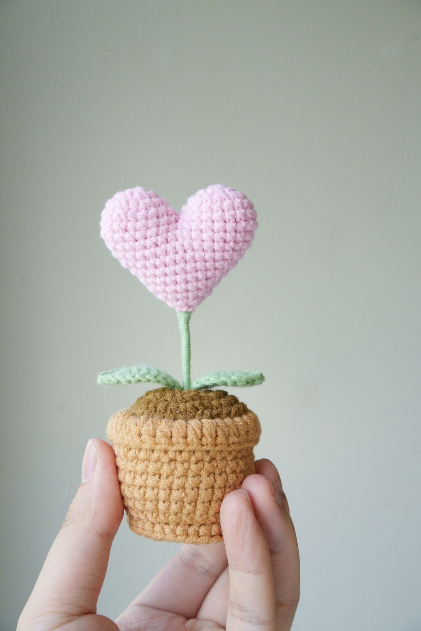 heart potted plant
