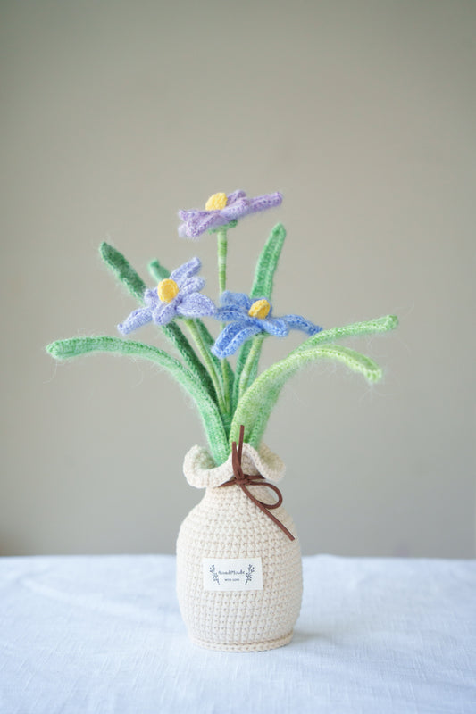 Orchid potted plant