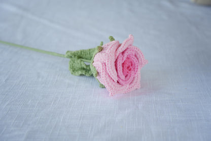 pink gradient thai rose