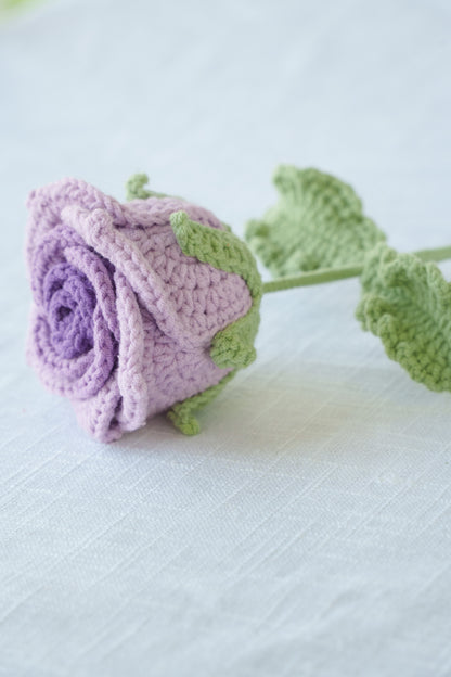 purple gradient thai rose