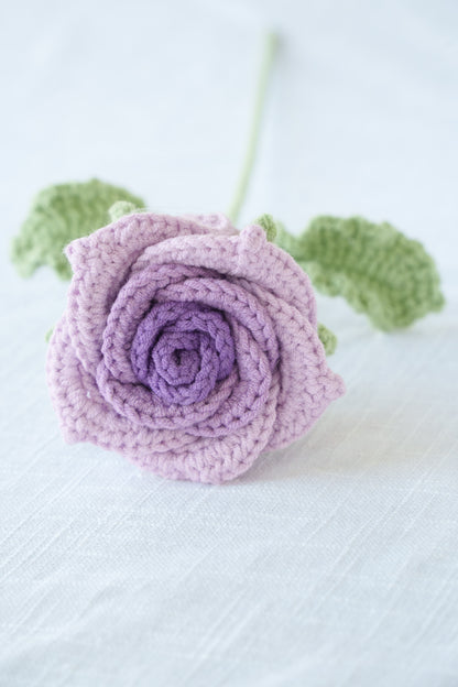 purple gradient thai rose
