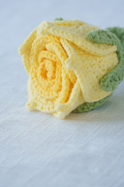 yellow gradient thai rose