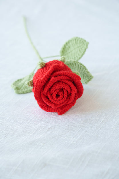 red rose