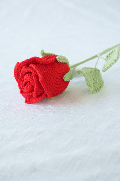 red rose