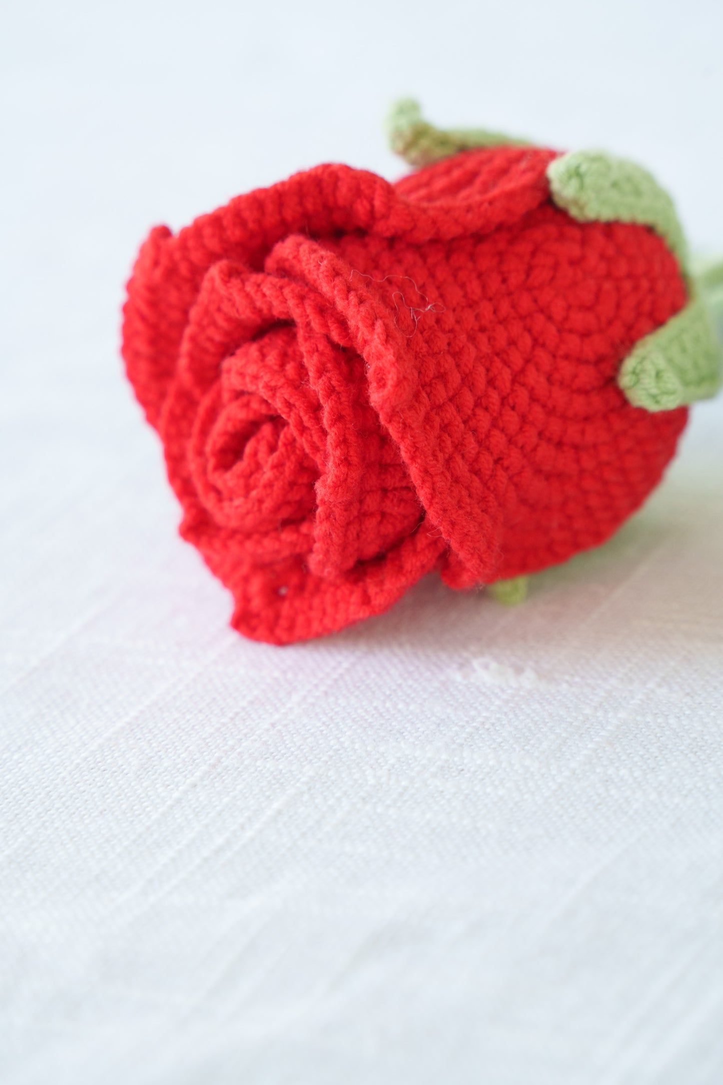 red rose