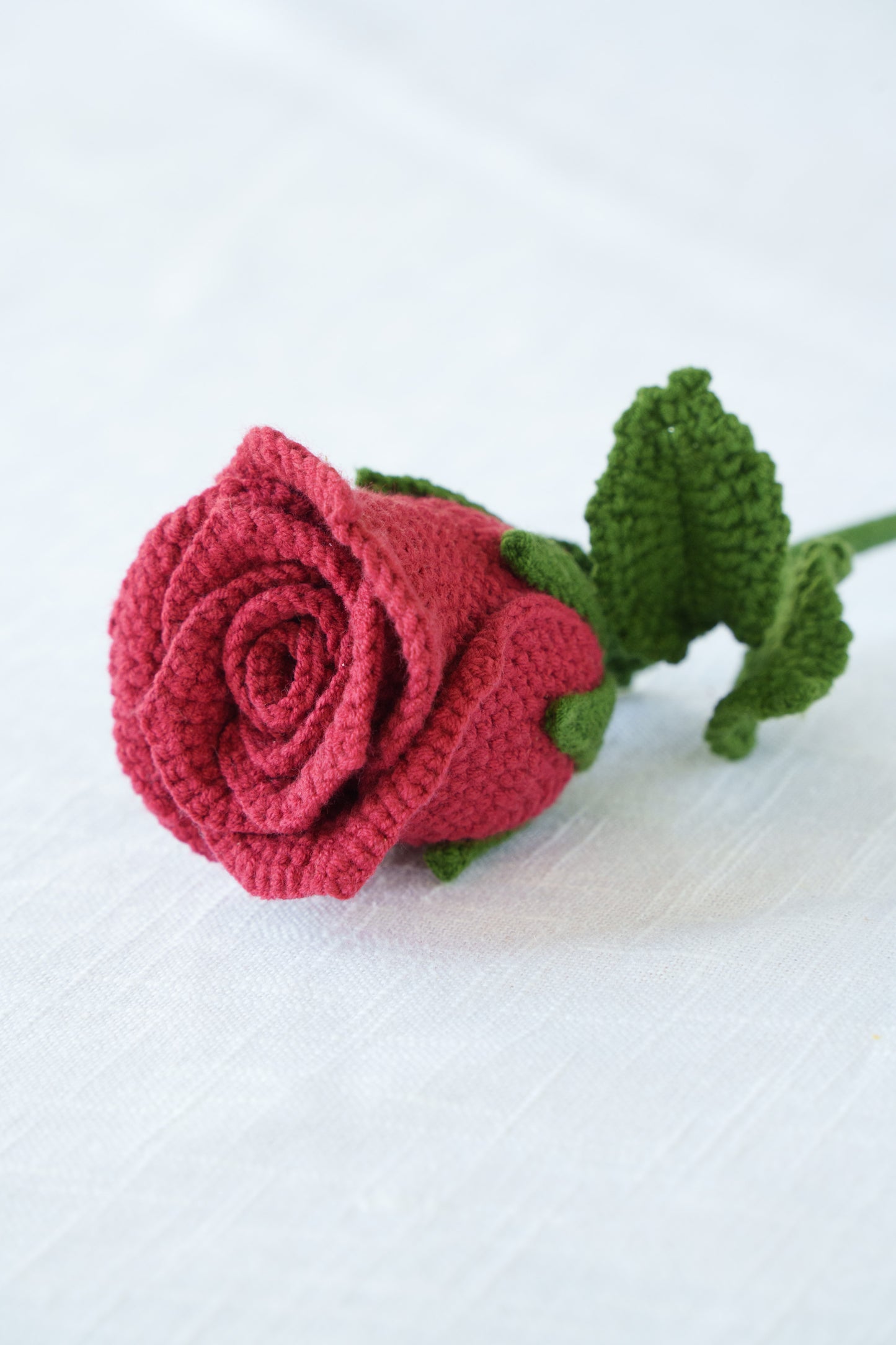 burgundy rose