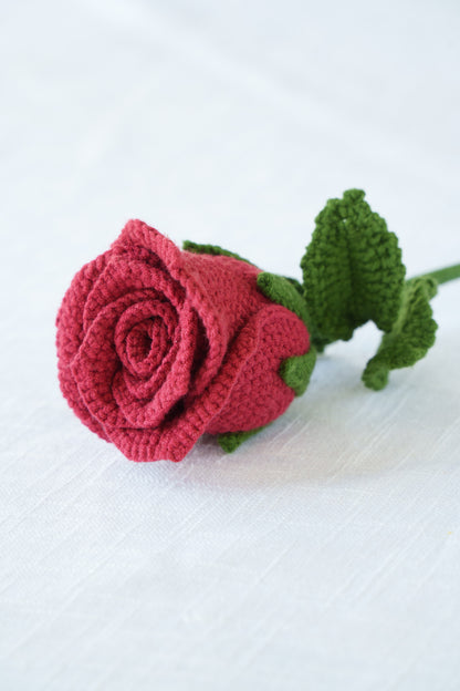 burgundy rose