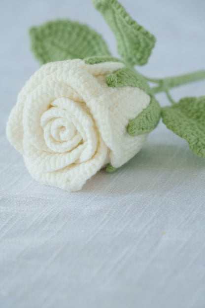 white rose