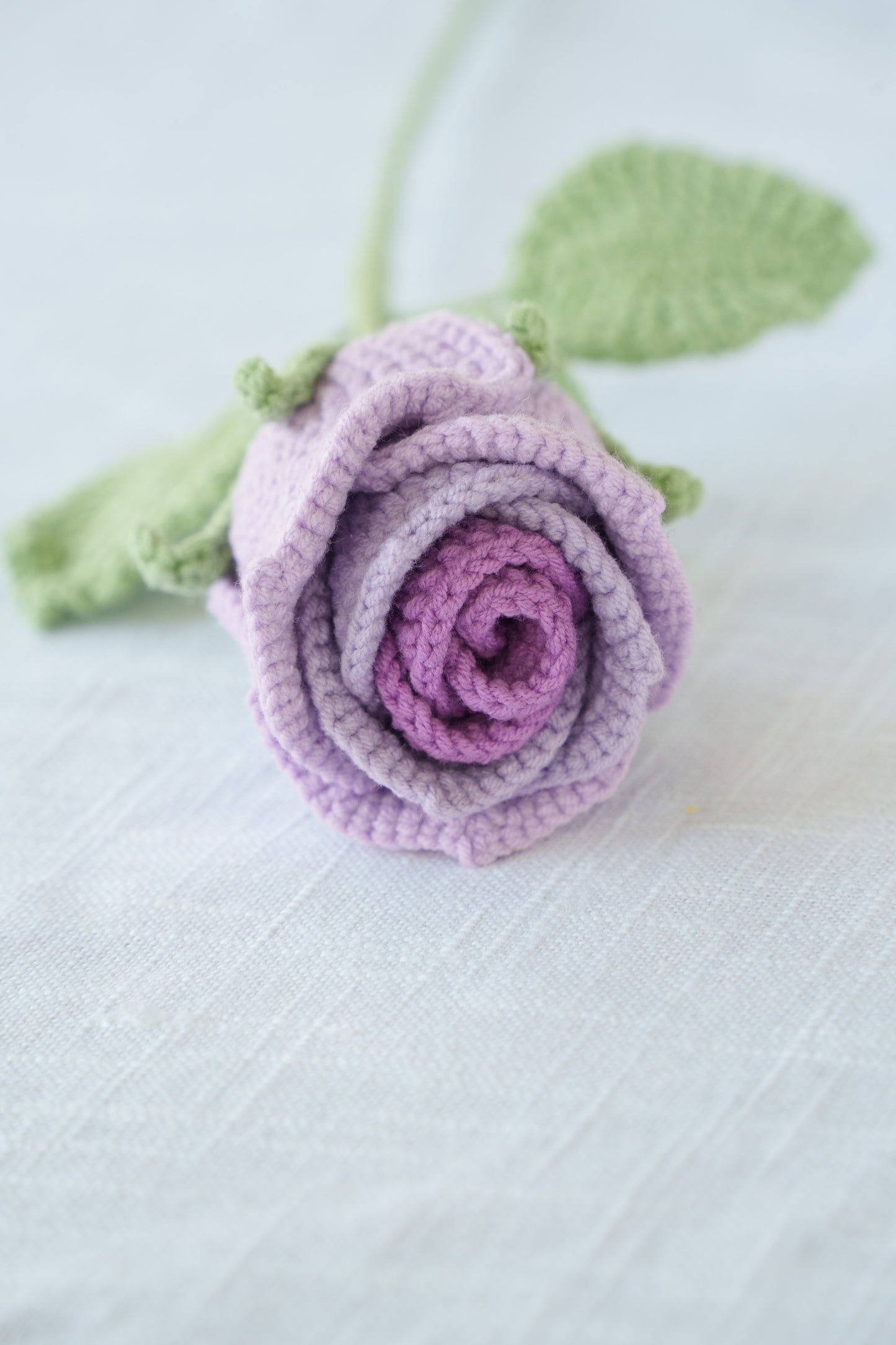 ombre purple rose