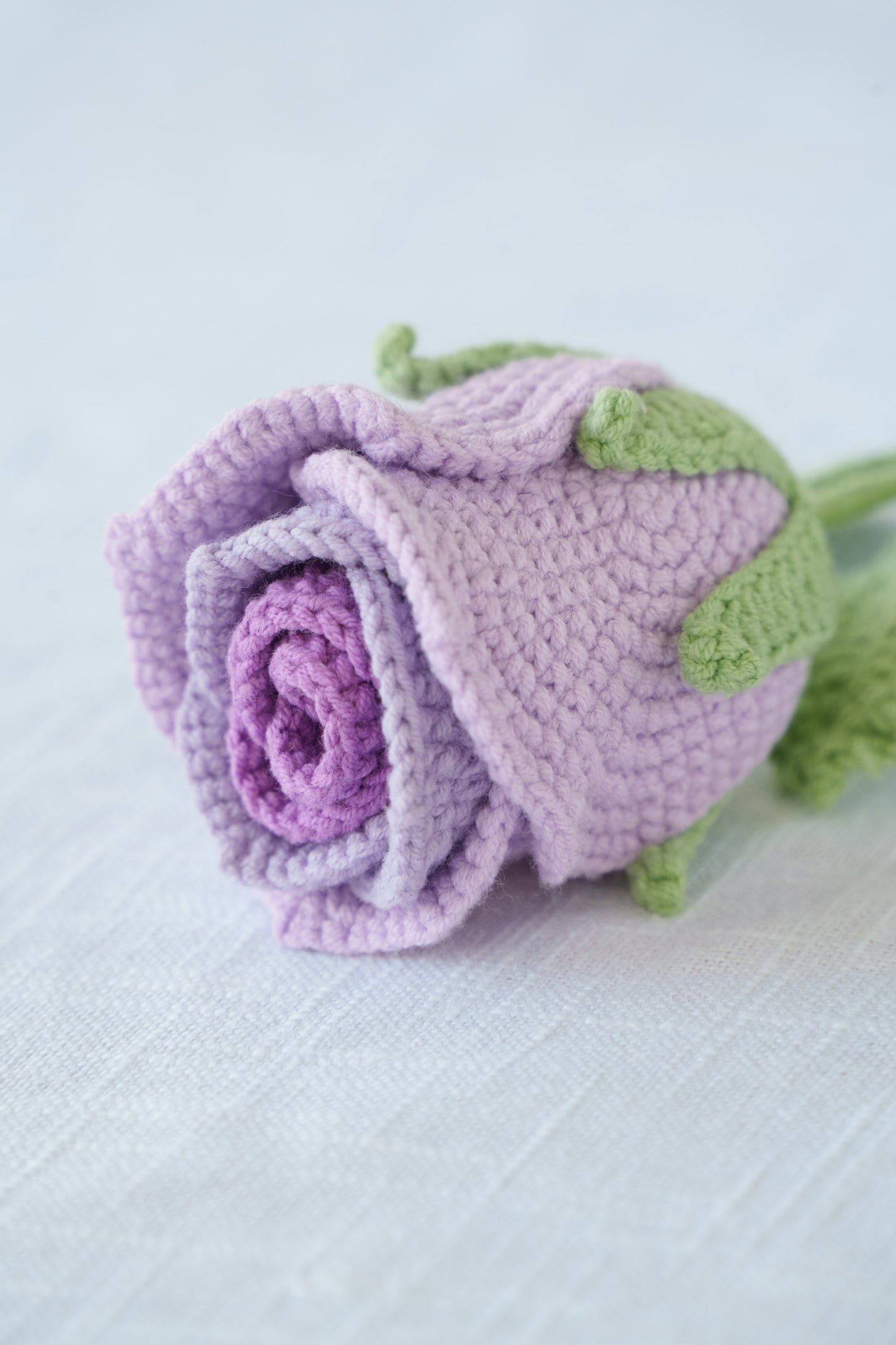 ombre purple rose