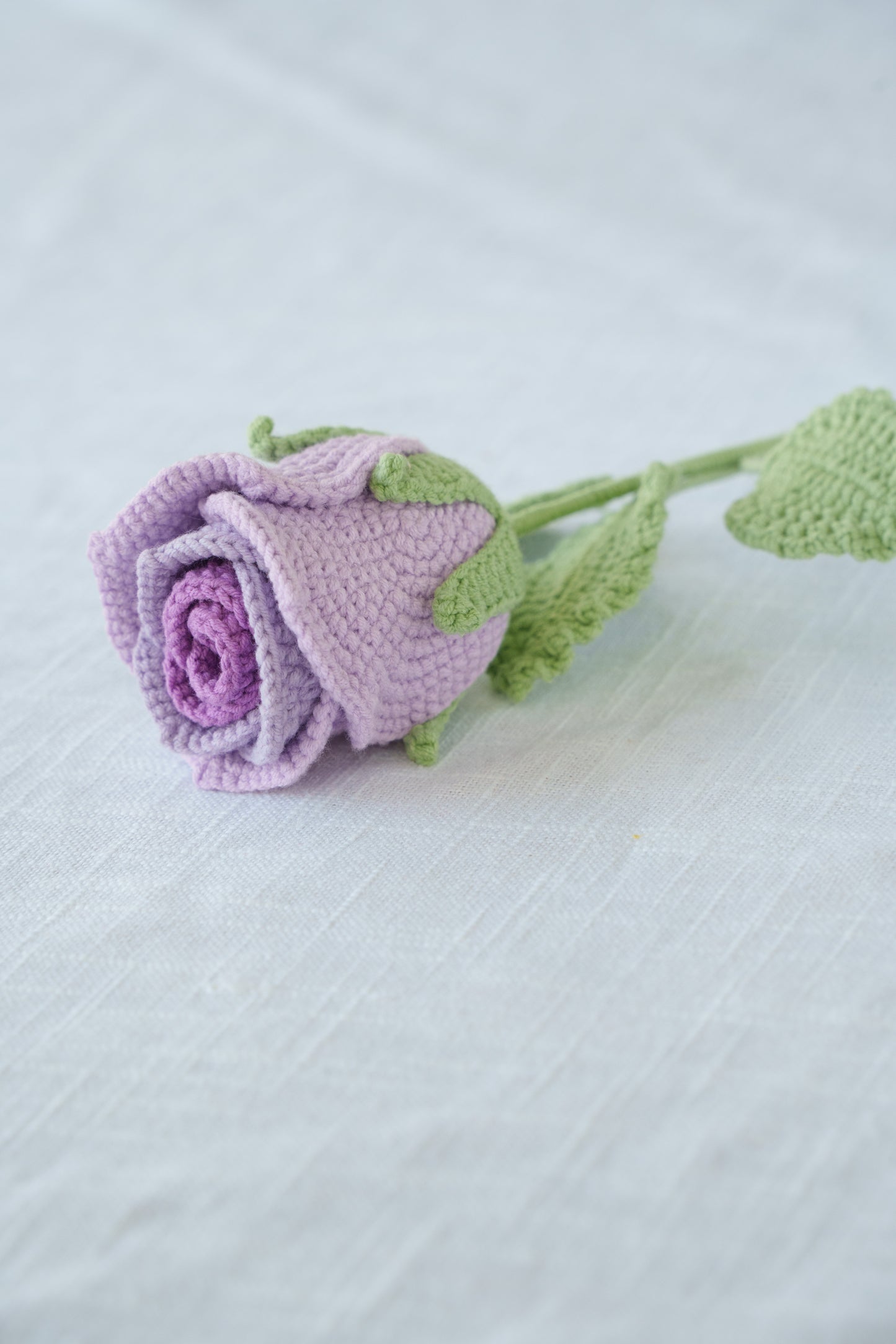 ombre purple rose