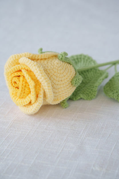 ombre yellow rose