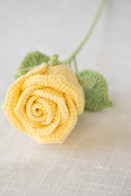 yellow rose
