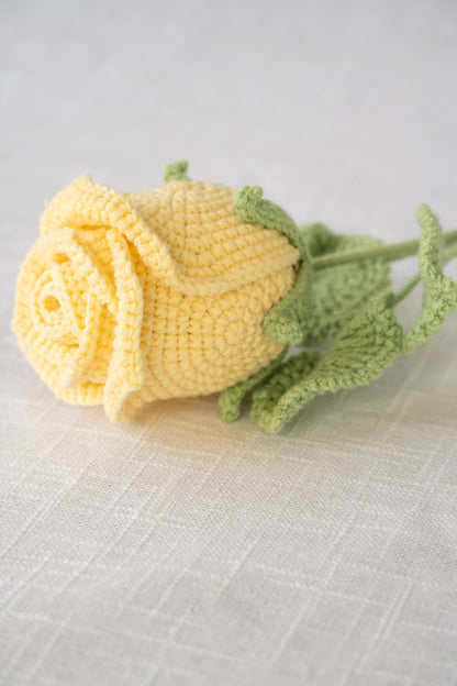 yellow rose