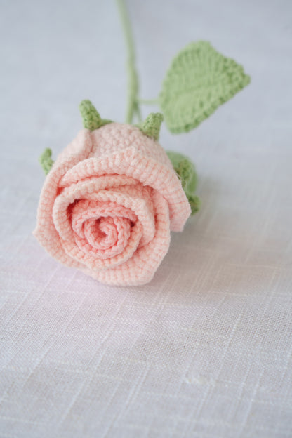 ombre pink rose