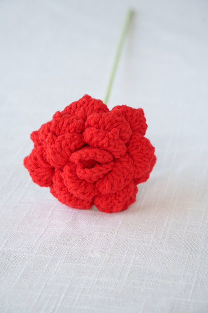 red rose