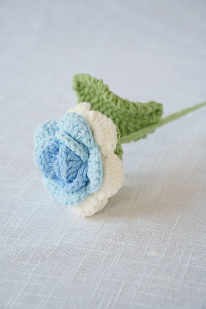 white blue rose