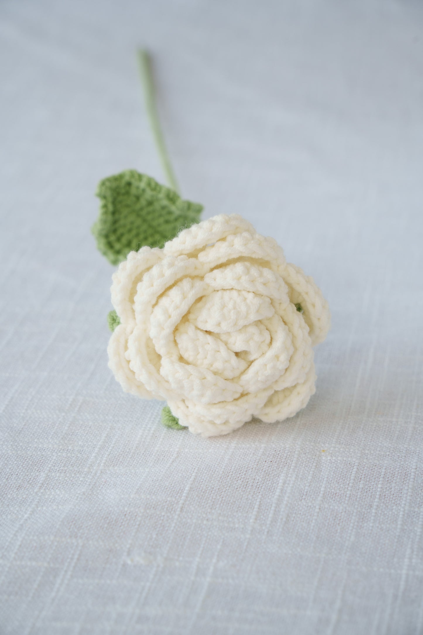 white rose