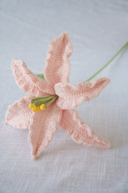 pink lily