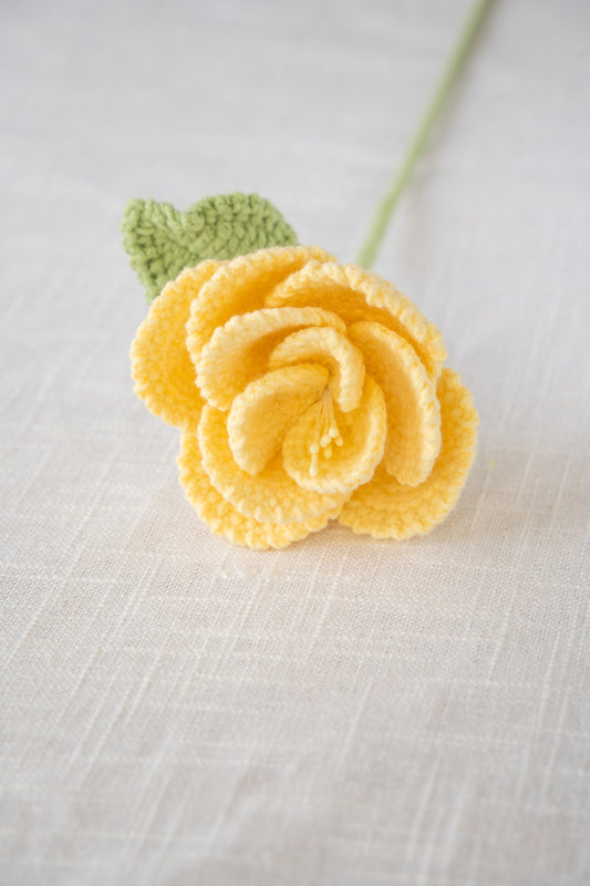 Yellow French Rose