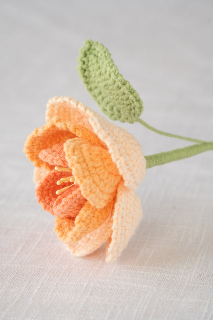Orange French Rose
