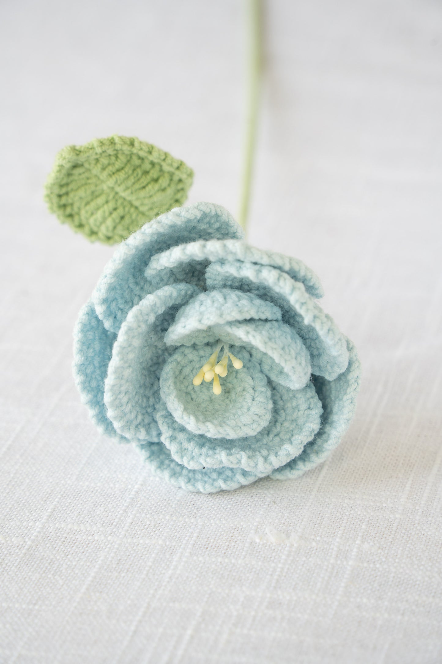 Blue French Rose