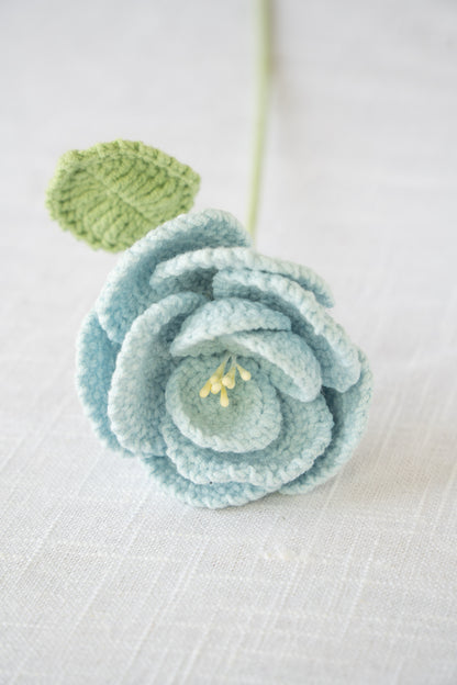 Blue French Rose