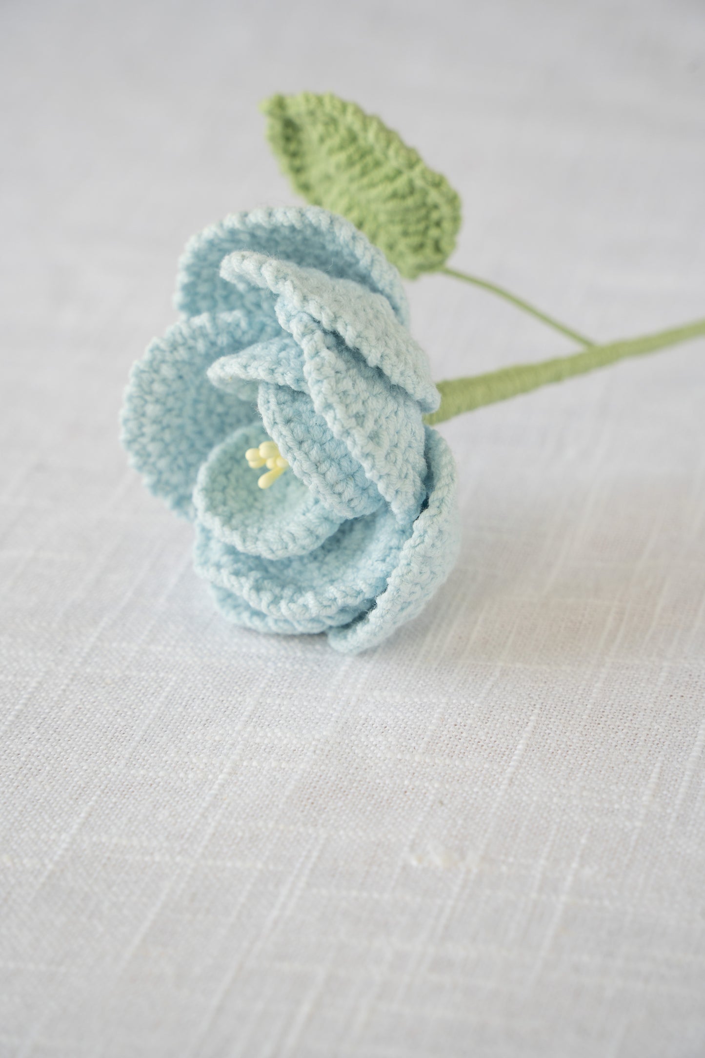 Blue French Rose