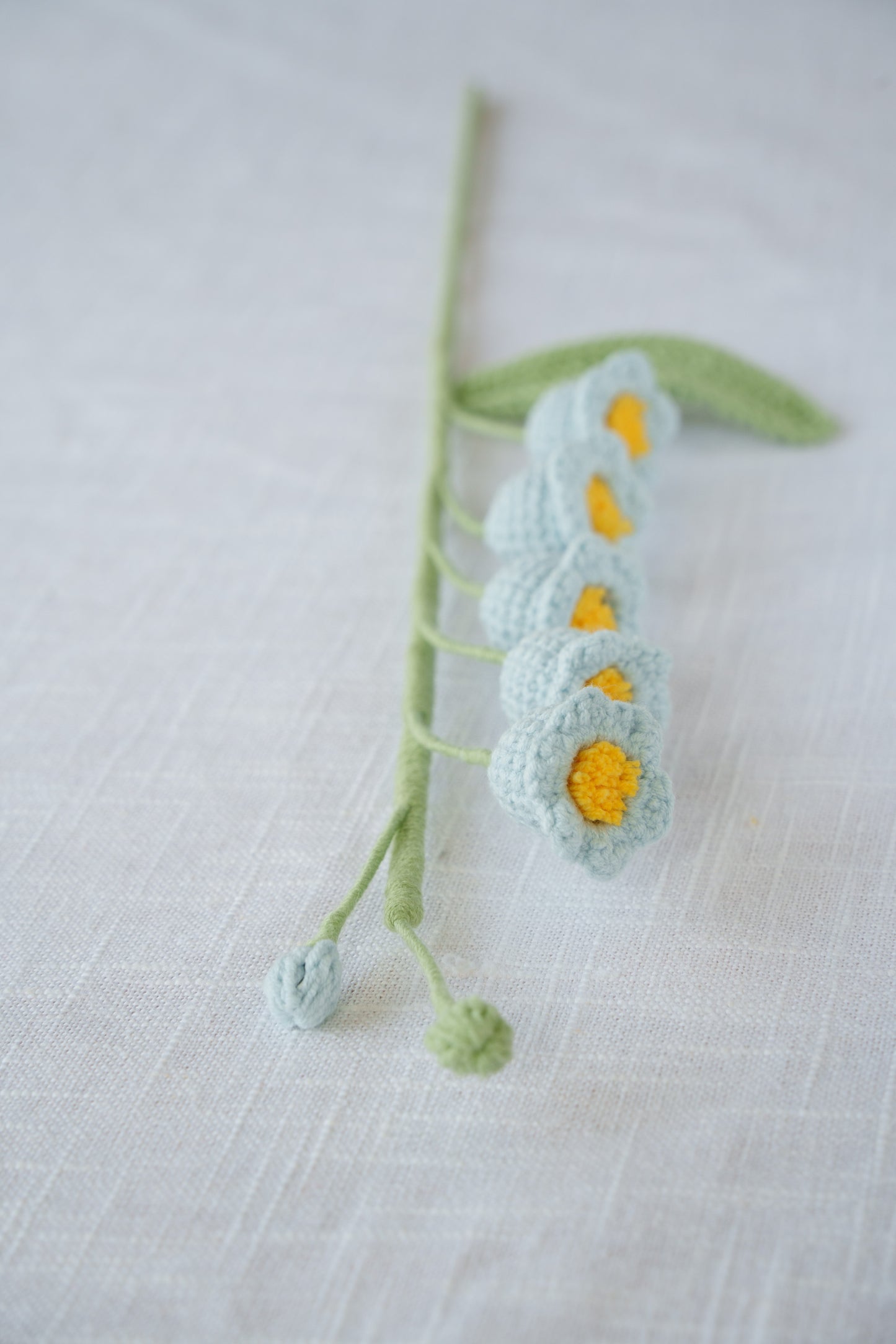 blue lily of the valley