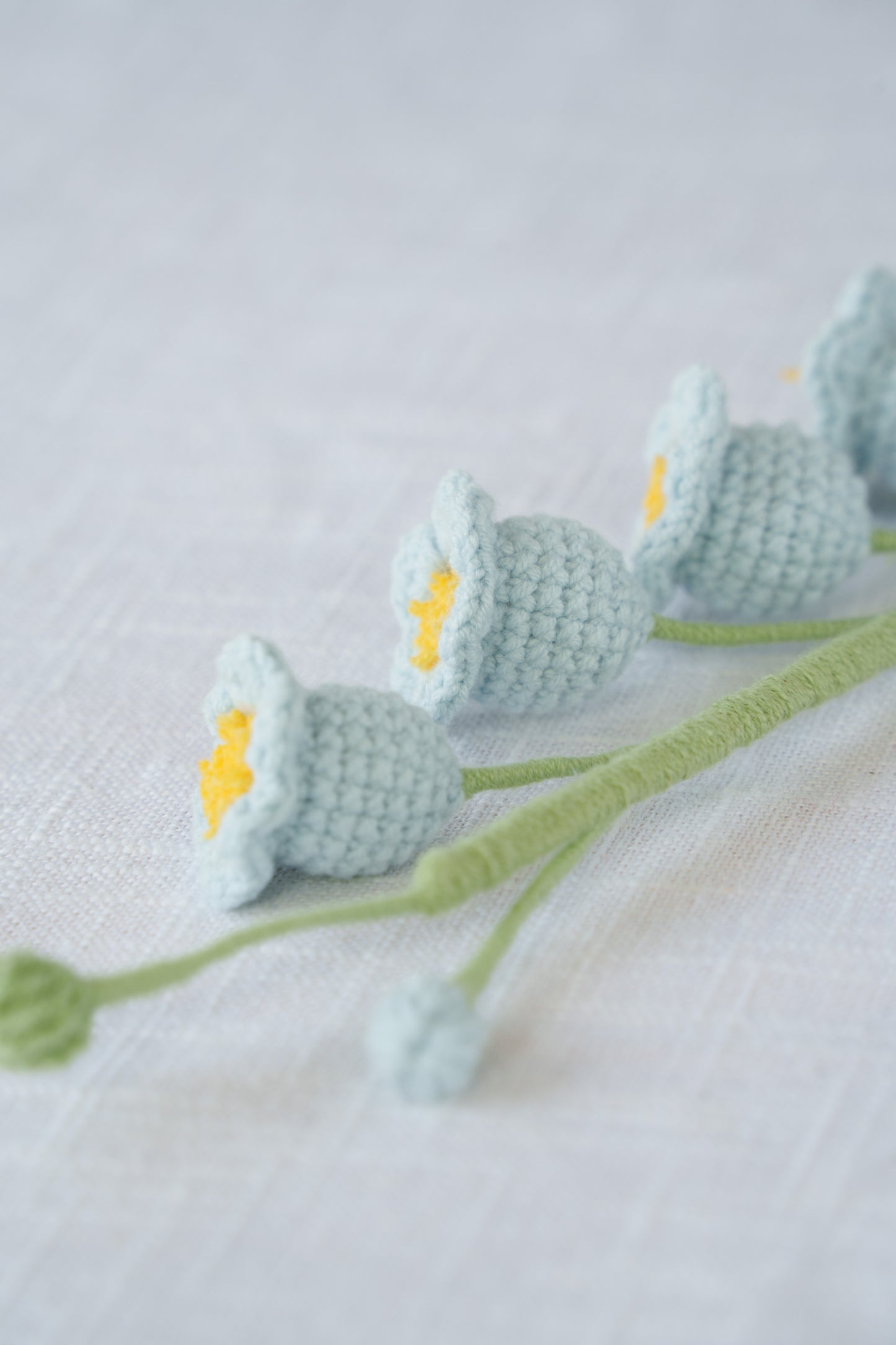 blue lily of the valley