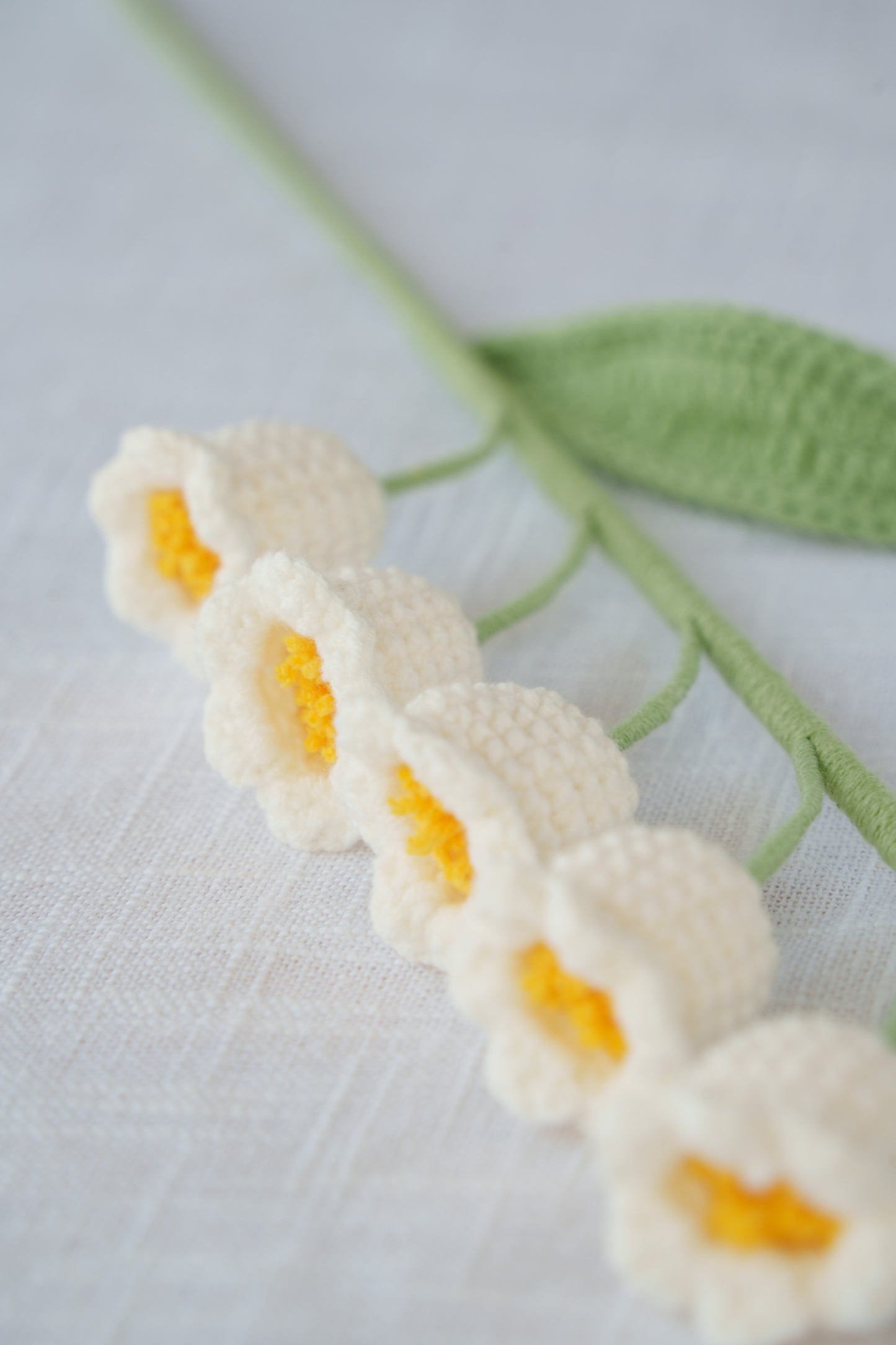 white lily of the valley