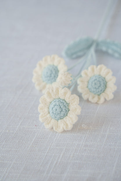 blue daisy