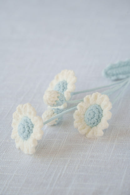 blue daisy