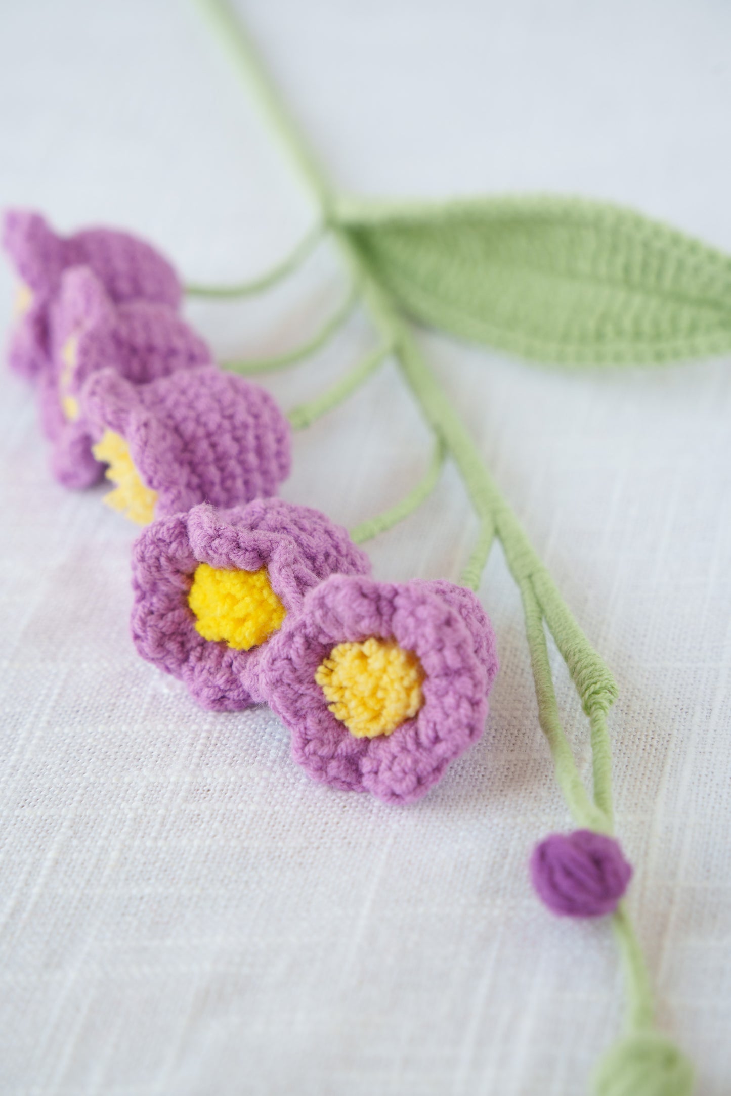 purple lily of the valley