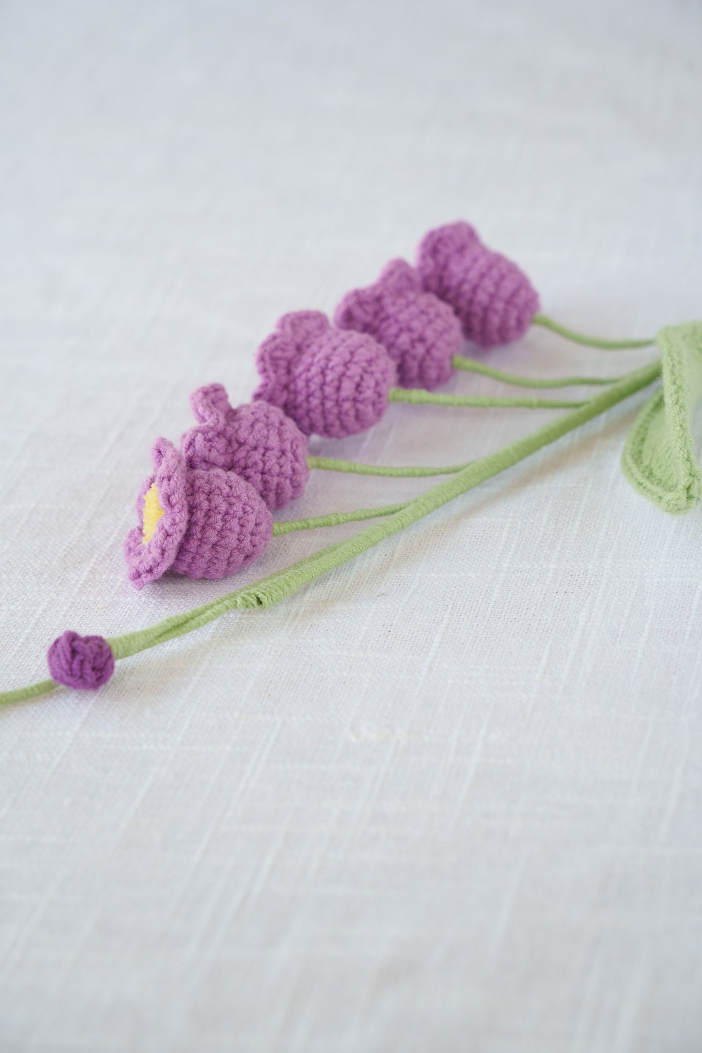 purple lily of the valley