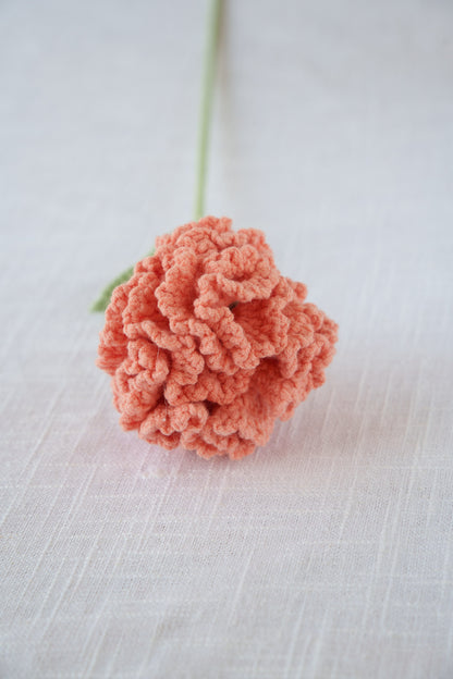 orange carnation