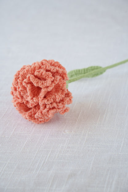 orange carnation